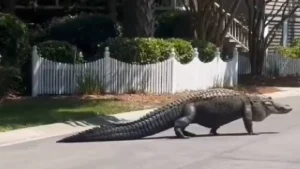 Туризм теряет до 600 млн долларов в день из-за конфликта на Ближнем Востоке