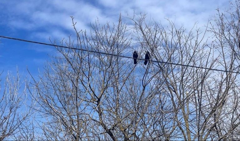 В Латвии начались первые грозы: дождь, молнии и туман в разных регионах страны