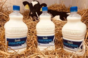 СМИ: в Израиле появилось приложение для знакомств в бомбоубежищах