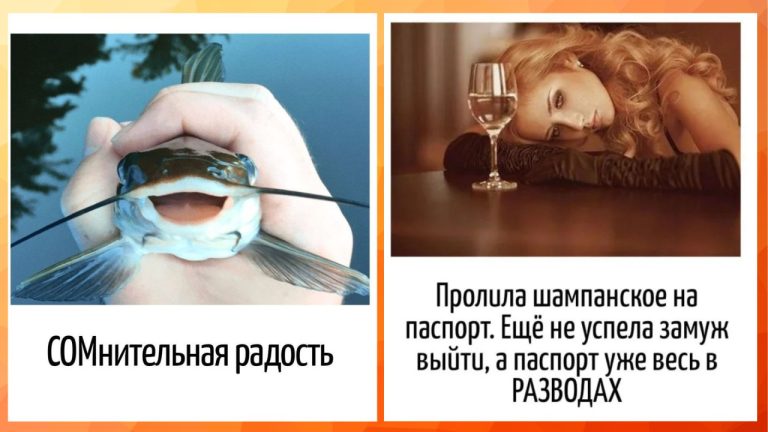 Игра слов: юмор на каламбурах, где язык сам себе шутит, а мы просто зрители в первом ряду