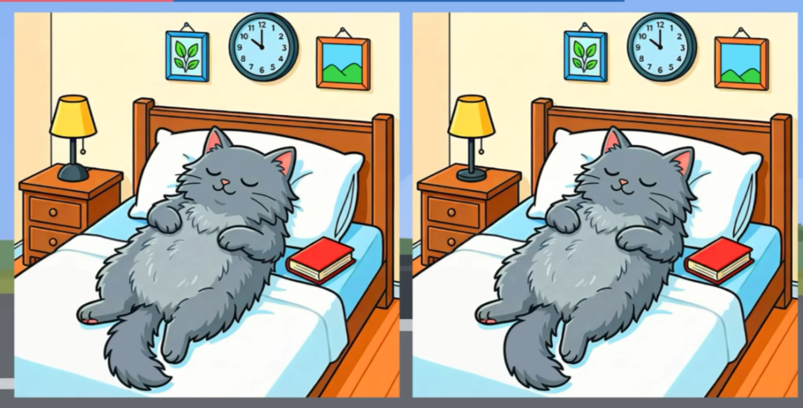 Визуальная головоломка: две почти одинаковые картинки с серым котом, лежащим на кровати, между которыми нужно найти три отличия.