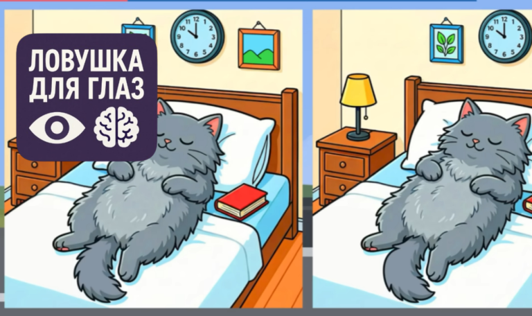 🐱 Ловушка для глаз: только самые внимательные найдут 3 отличия на картинках с котом за 10 секунд