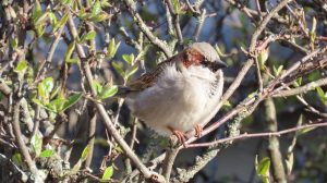 Министр экономики: государство может вывести на рынок до 40 000 тонн резерва нефтепродуктов 