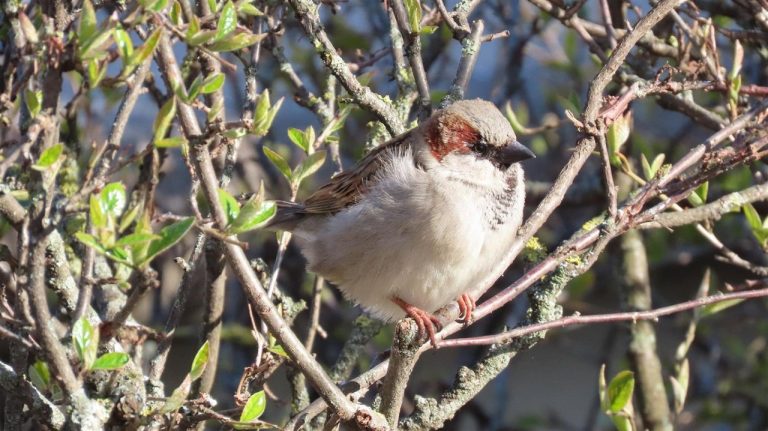 Солнечная суббота и новые температурные рекорды: синоптики обещают до +17°