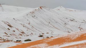 Иранский дрон упал на жилой небоскреб в Дубае: жителей срочно эвакуировали