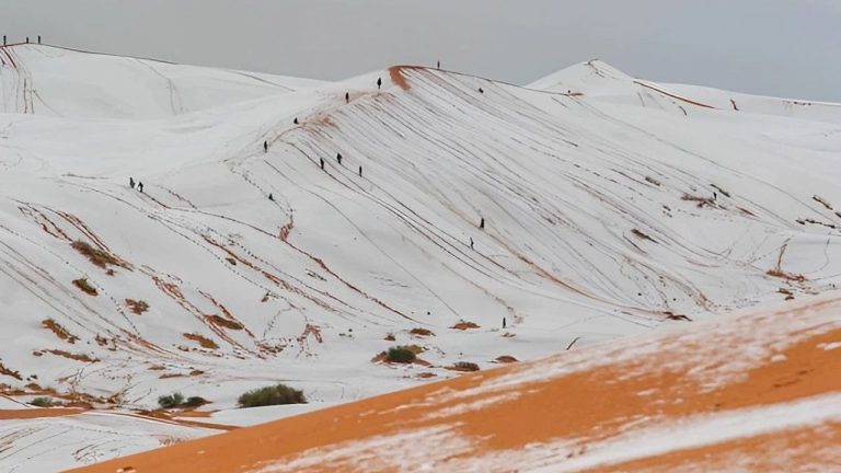 В Сахаре выпал снег: редкое явление заметили в районе Атласских гор