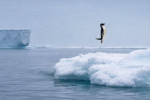 Амбициозная альтернатива «Бриджертонам»: костюмированный хит с Эммой Стоун в главных ролях не щадит высшее общество