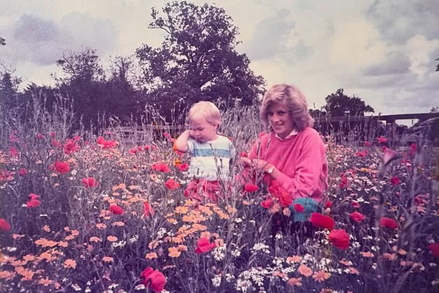 Принцесса Диана с маленьким принцем Уильямом в поле цветов на архивной фотографии 1984 года.