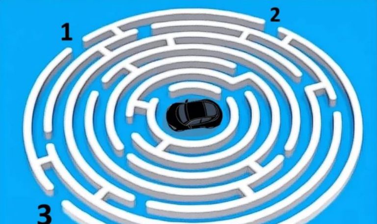 Головоломка, которая запутала интернет: какой путь ведёт к выходу из лабиринта?