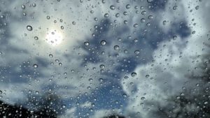 Рижский зоопарк приглашает на Дни тюленей