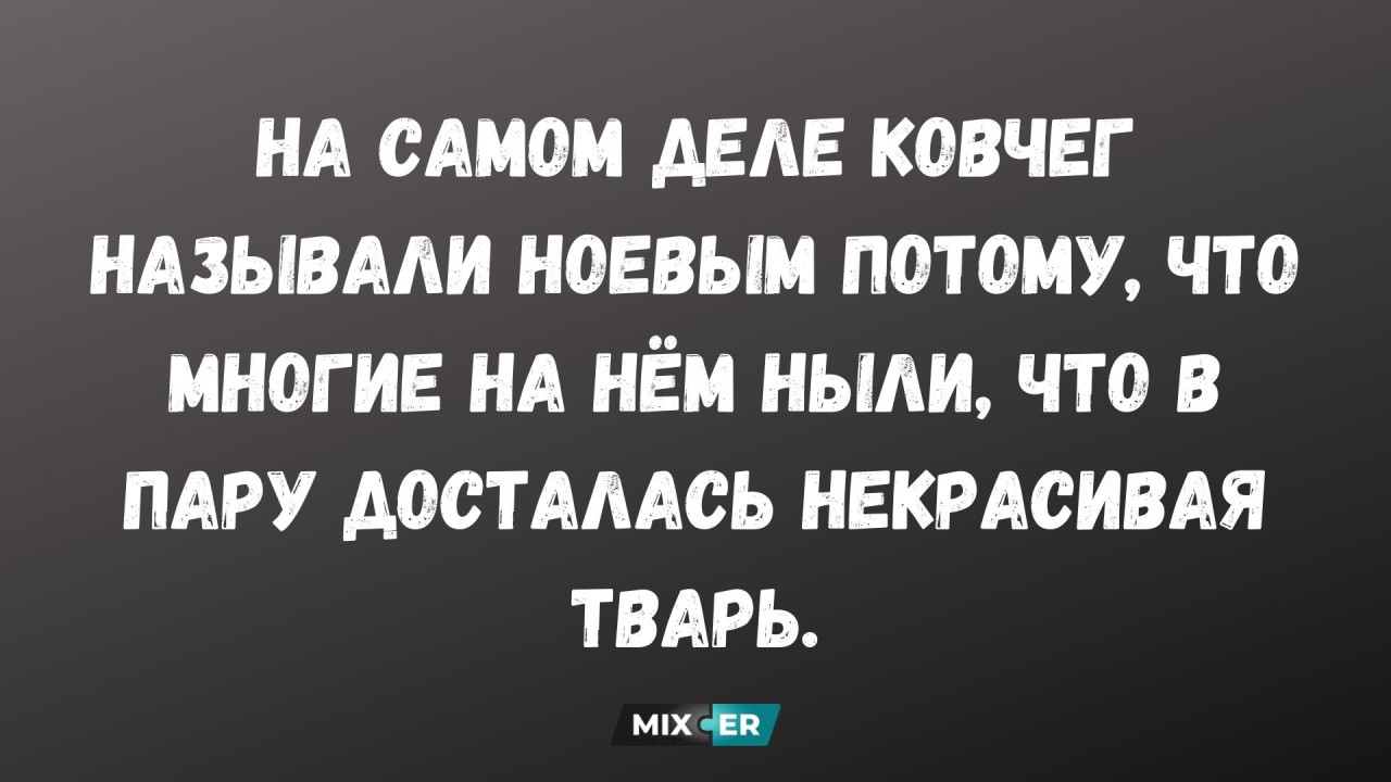 Юмор для тех, кто повзрослел и понял, что «тренд на книги» - это купить три тома и использовать их как подставку под монитор