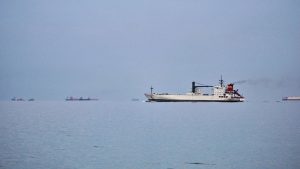 Топ-10 самых эффектных нарядов с красной дорожки «Оскара»