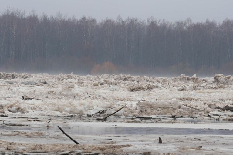 Опасный ледоход на Даугаве: уровень воды в районе Плявиняс приближается к критическому