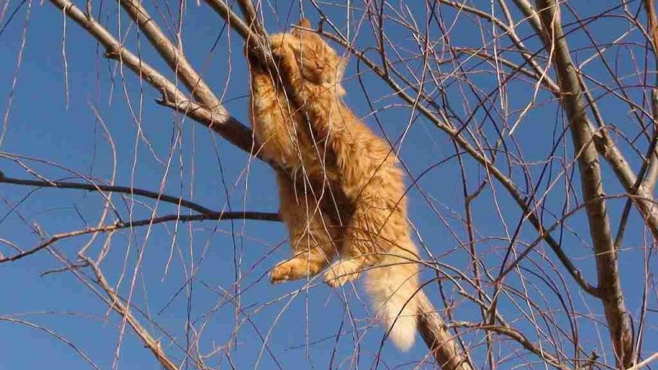 Холодает: туман и дождь, ночью температура воздуха может опуститься ниже нуля