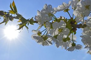 Прозрачность или риск: что стоит за идеей раскрыть зарплаты госслужащих в Латвии (+опрос)