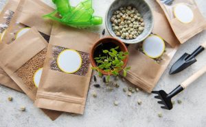 11 жизненных навыков бумеров, которые молодёжь считает бесполезными - и зря