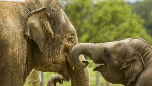 Больше половины ценников в латвийских магазинах оказались оформлены с нарушениями