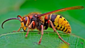 Юмор за день и месть склеротика