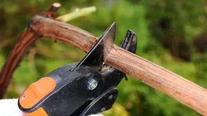 Самые счастливые даты весны 2026: когда лучше принимать решения, влюбляться и зарабатывать