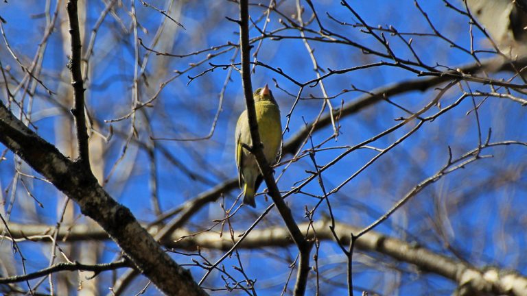 В субботу в Латвии - по-весеннему тепло и солнечно