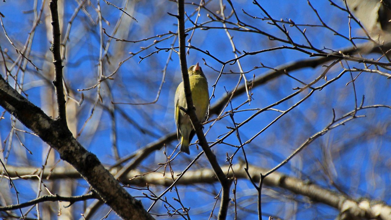В субботу в Латвии - по-весеннему тепло и солнечно