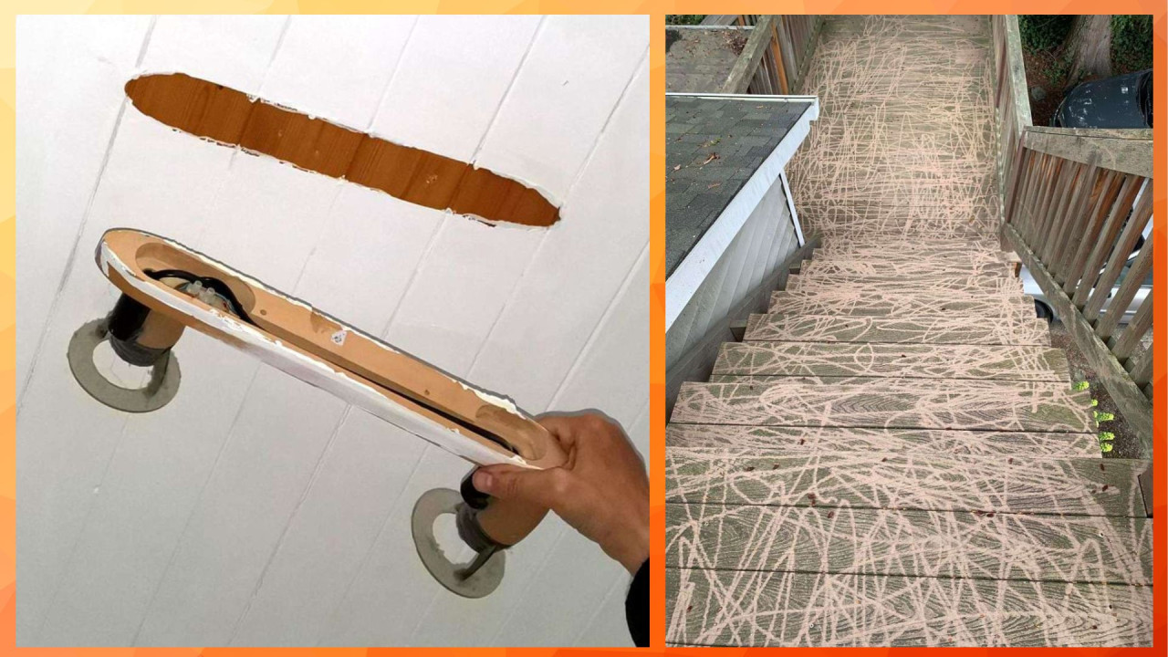 30 примечательных архивных кадров и гигантская манта