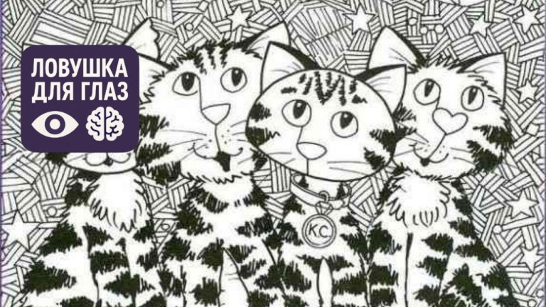 Абсолютно невыполнимый тест на IQ: вы настоящий гений, если сможете найти спрятанную пиццу