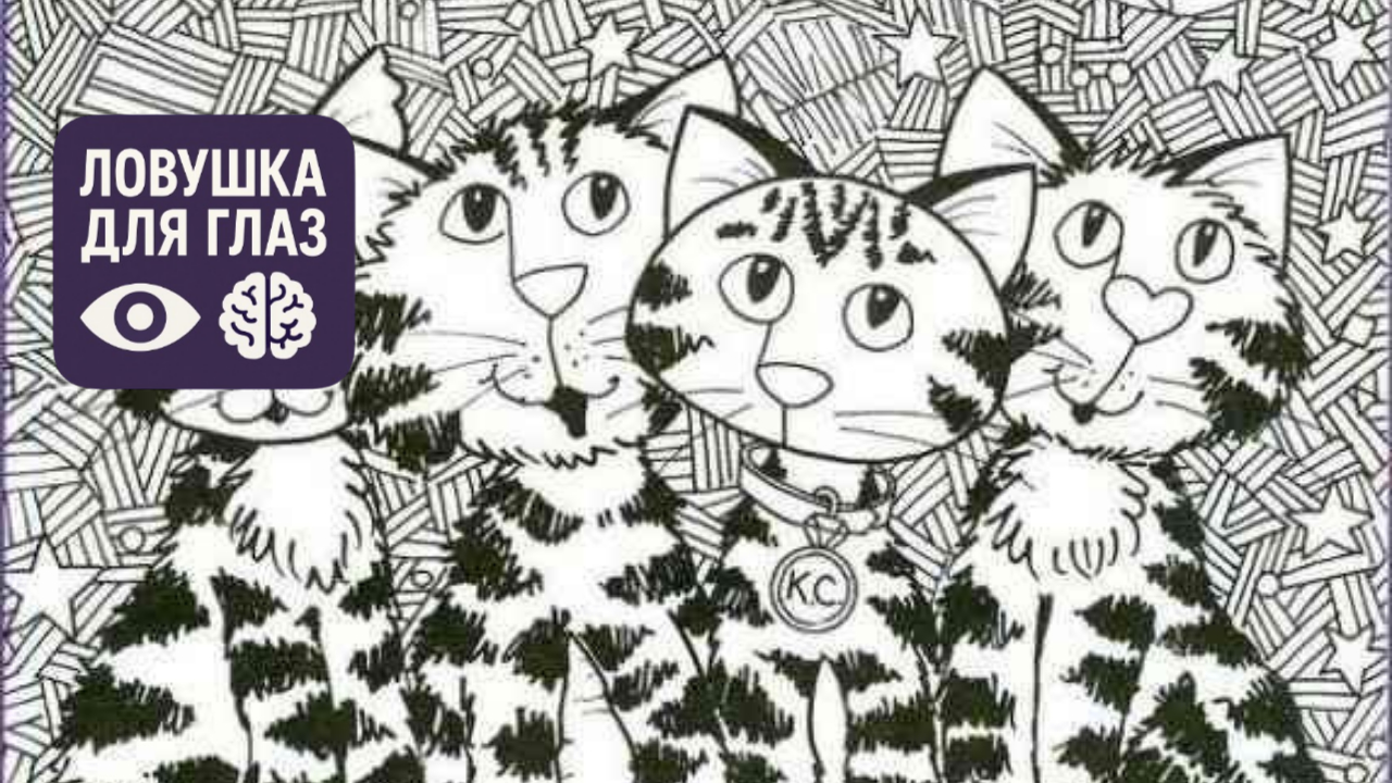 Визуальная головоломка: на чёрно-белой картинке с четырьмя котами спрятан кусок пиццы, который нужно найти как можно быстрее.