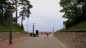 Трамп поддержал вывод войск США из Испании и назвал страны НАТО трусами