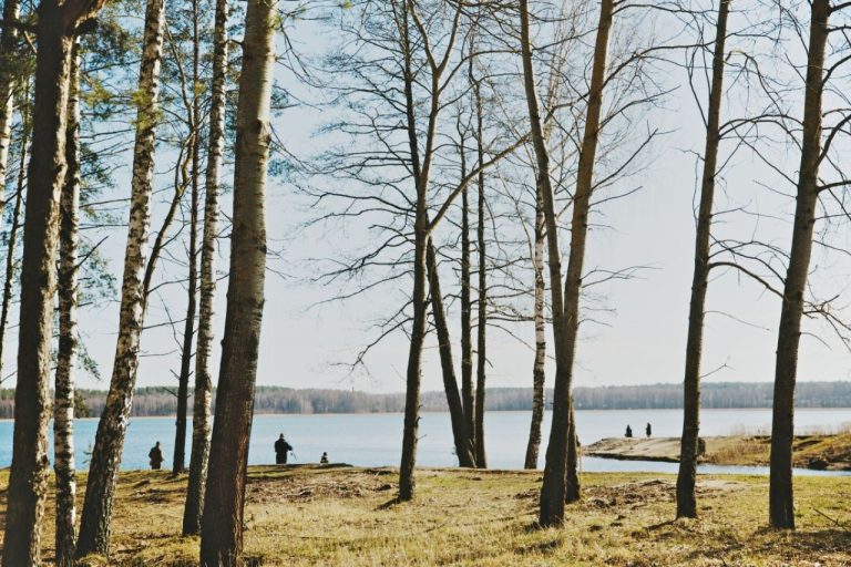 Понедельник в Латвии: до +14 градусов и без осадков