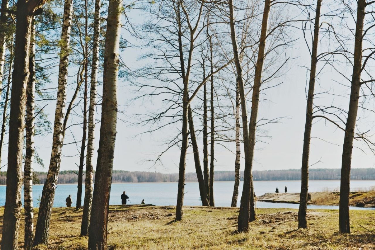 Понедельник в Латвии: до +14 градусов и без осадков