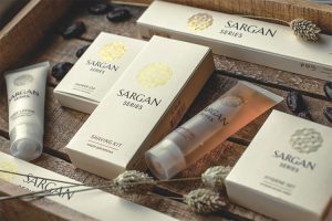 Исследовательский центр Alma раскрыл данные о реальном количестве баллистических ракет у Ирана