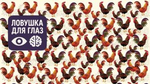 Визуальная головоломка: среди множества петухов спрятана одна курица — попробуйте найти её за 15 секунд.