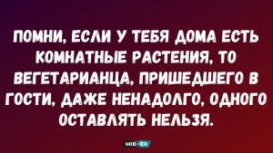 Эти ошибки в ванной «смывают» деньги: что советует фэншуй