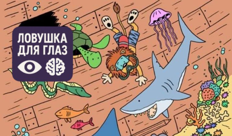 Тест на IQ: сможете ли вы найти спрятанную лампочку за 5 секунд?