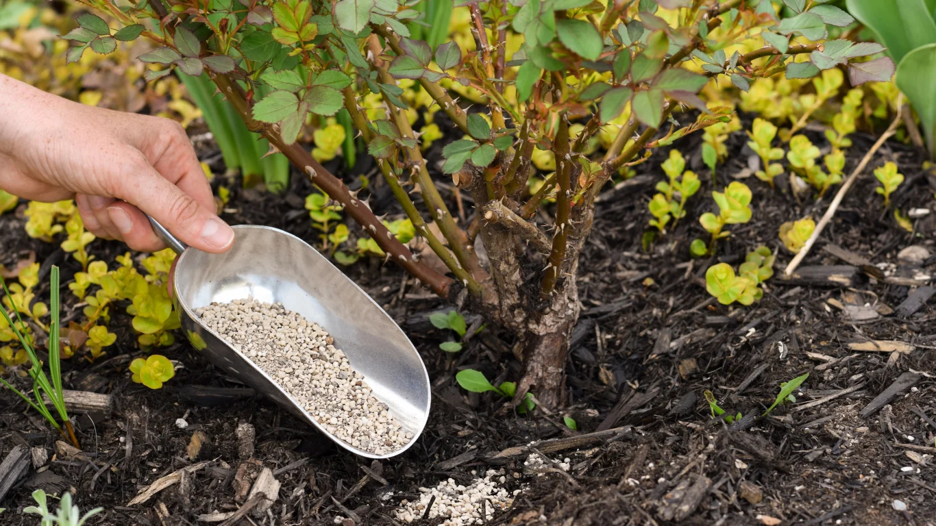 10 раз, когда голливудские звезды в своем актерском методе заходили слишком далеко