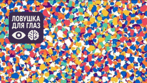 Оптическая иллюзия: среди разноцветных пятен спрятано двузначное чётное число, которое нужно найти за 5 секунд.