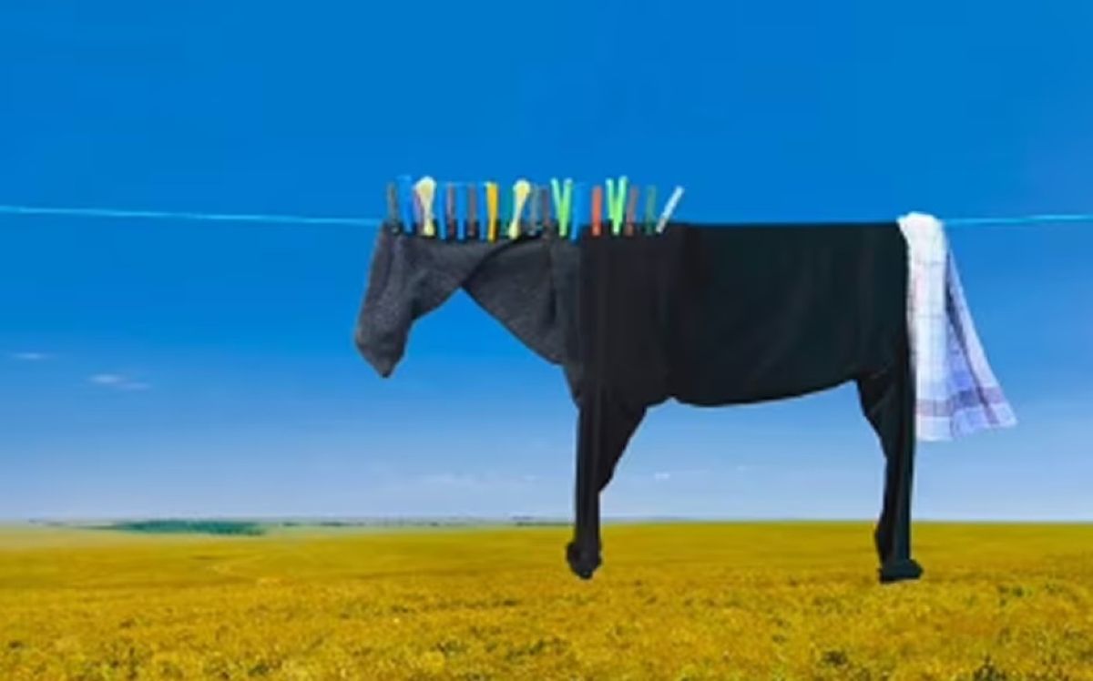 Что вы увидели первым - лошадь или одежду? Этот тест раскрывает ваш тип мышления