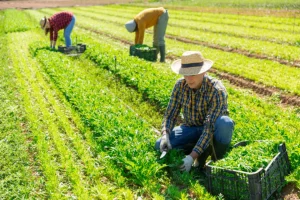 Хуситы атаковали Израиль: в регионе растет риск расширения конфликта