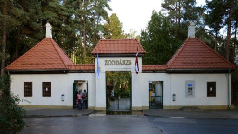 Это не розыгрыш: Рижский зоопарк 1 апреля можно будет посетить всего за 1 евро