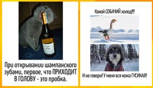 Эмоциональный интеллект и знаки зодиака - честный рейтинг: кто чувствует людей с полуслова, а кто сначала взрывается, а потом думает