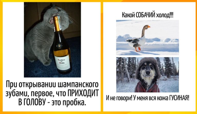 Игра слов - это юмор, скрытый в языке так глубоко, что сначала смеёшься, а потом думаешь «а ведь правда»