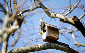 Восточная больница вводит новые правила: никакой дискриминации пациентов