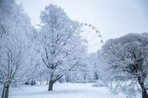 В Латвии ожидаются температурные качели с ночными морозами и дневным теплом до плюс десяти градусов