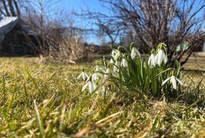 В Латвии растёт бедность: число нуждающихся снова увеличилось