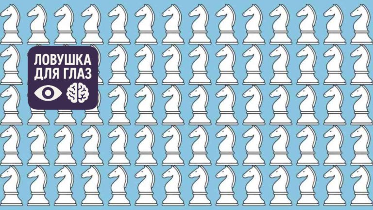 Проверьте зрение и концентрацию: где спрятался другой конь?