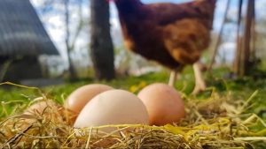 Взрывы в Дубае: ПВО перехватывает угрозы, жители сообщают о серии мощных ударов