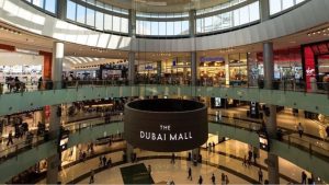 В Боливии расследуют кражу миллионов долларов с потерпевшего крушение самолета