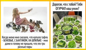 Ловушка для глаз: только люди с острым зрением найдут всех кошек на этой хитрой картинке