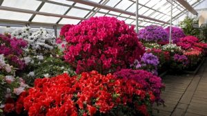 Подорожало! За неделю выросли цены на топливо в странах Балтии 